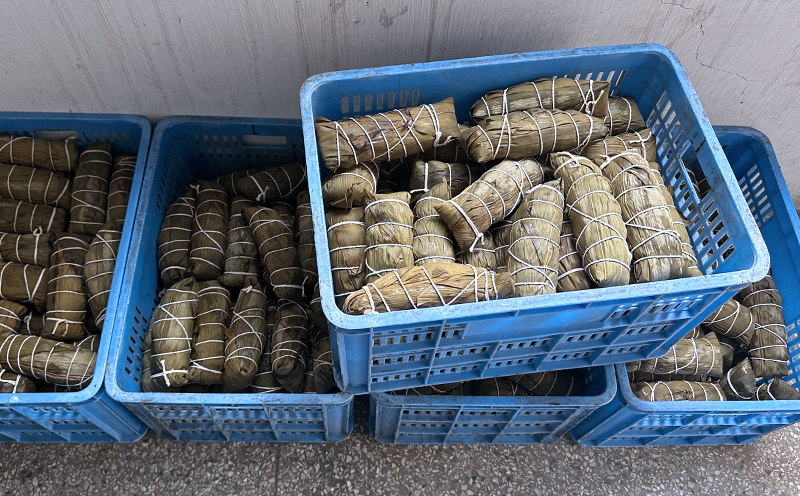 端午2025 端午2025